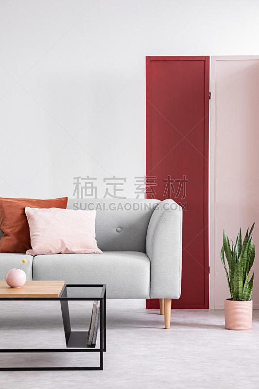 沙发,红色,高雅,粉色,枕头,墙,投影屏幕,母球,茶几,摄影