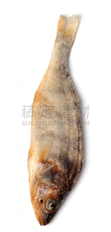 鳕鱼干,白色背景,分离着色,罗奇鱼,肉干,尾鳍,垂直画幅,阴影,干的,特写