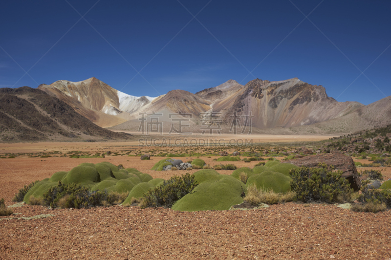 Landscape of the Altiplano