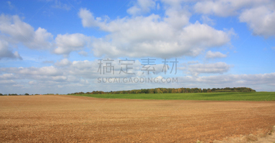 法国,陆地,毕加底,天空,褐色,水平画幅,枝繁叶茂,无人,泥土,户外
