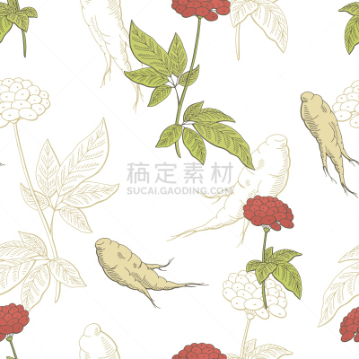 人参,绘画插图,四方连续纹样,彩色图片,矢量,草图,插画,无人,计算机制图,计算机图形学