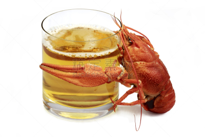 龙虾,煮食,啤酒,玻璃杯,红色,大螯虾,水平画幅,开胃品,玻璃,海产