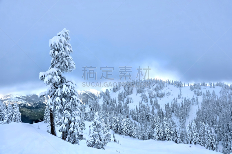 雪,有包装的,新的,气候,水平画幅,无人,户外,贝林汉,北美