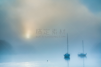 秘密,有帆船,雾,湖,在上面,水,水平画幅,鸟类,早晨,曙暮光