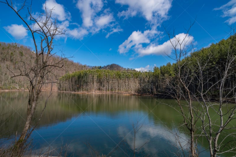 田纳西,湖,两只动物,切洛基国家森林公园,水,天空,水平画幅,无人,户外,秃树