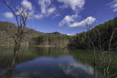 田纳西,湖,两只动物,切洛基国家森林公园,水,天空,水平画幅,无人,户外,秃树
