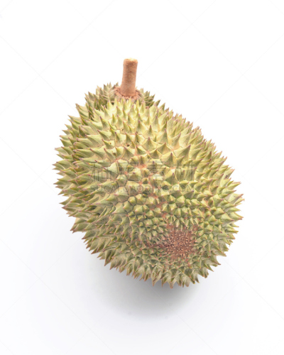 白色背景,榴莲,自然,垂直画幅,气候,水果,异国情调,泰国,甜点心,臭