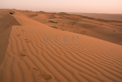 沙漠,阿曼,沙子,黎明,wahiba,沙丘,单峰骆驼,旅途,纹理效果,热