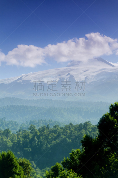 火山,垂直画幅,南美,林区,雪,无人,巴塔哥尼亚,比亚里卡火山,野生动物保护,夏天