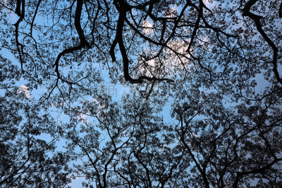 天空,支流,美,水平画幅,夜晚,古老的,户外,干的,怪异,科技焦虑