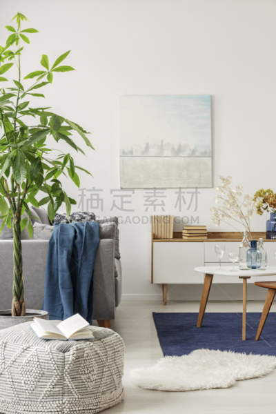 灰色,植物,起居室,白色,书,舒服,室内,巨大的,绿色,蓝色