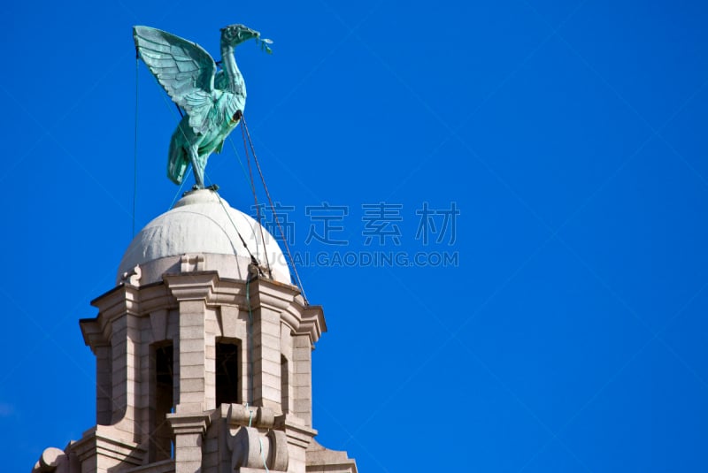 鸟类,阿尔伯特船坞,利物浦默西河,利物浦,默西赛德郡,旅游目的地,水平画幅,建筑,无人,欧洲