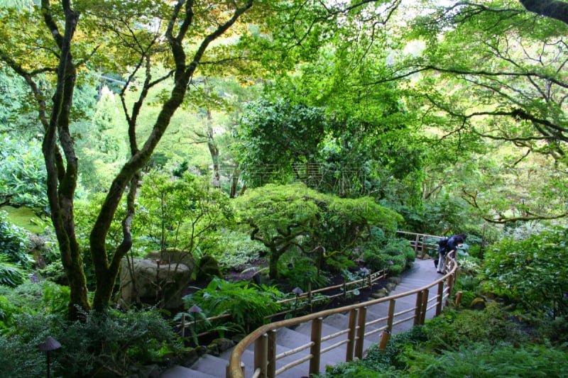 星和园,布查特花园,花园路,禅宗,灵性,水平画幅,枝繁叶茂,无人,夏天,户外