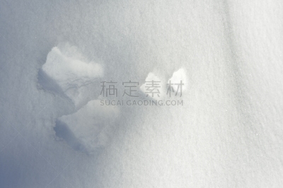 雪兔,运动跑道,黄石公园,彼格斯盖,美国西部,蒙大拿州,动物留下的痕迹,水平画幅,雪,无人