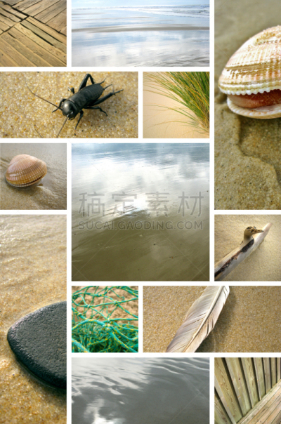 海滩,自然,垂直画幅,合成图像,沙子,贝壳,夏天,户外,海洋,鹅卵石