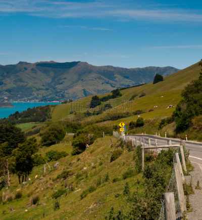 路,Akaroa,垂直画幅,地形,山,无人,户外,新西兰,摄影,旅行