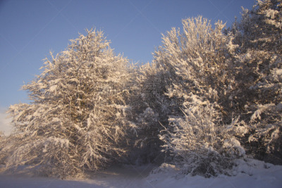 雪,英国,冬天,地形,加的夫,南威尔士,寒冷,环境,霜,自然美