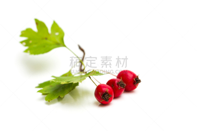 浆果,山楂,分离着色,格子烤肉,嫩里脊排,水平画幅,开胃品,膳食,熏猪肉,羊羔