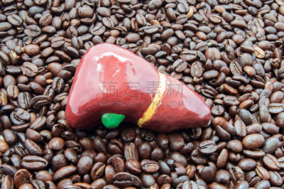 酶,肝脏,胆囊,烤的,图像特效,会议,躺,活动,工作