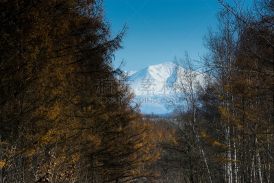 天空,雪,山,森林,落叶松,青绿色,留白,水平画幅,无人,旭川