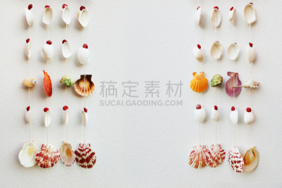 贝壳,悬挂的,背景,式样,多色的,紫贝,悬挂玩具,海扇壳,海蛤,海螺