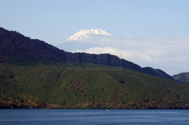 富士山,日本,加美,箱根湿地植物园,箱根园,伊豆半岛,富士箱根伊豆国立公园,陨石坑,水,公园