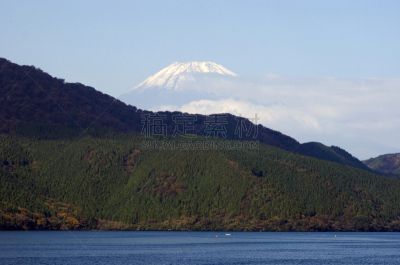 富士山,日本,加美,箱根湿地植物园,箱根园,伊豆半岛,富士箱根伊豆国立公园,陨石坑,水,公园