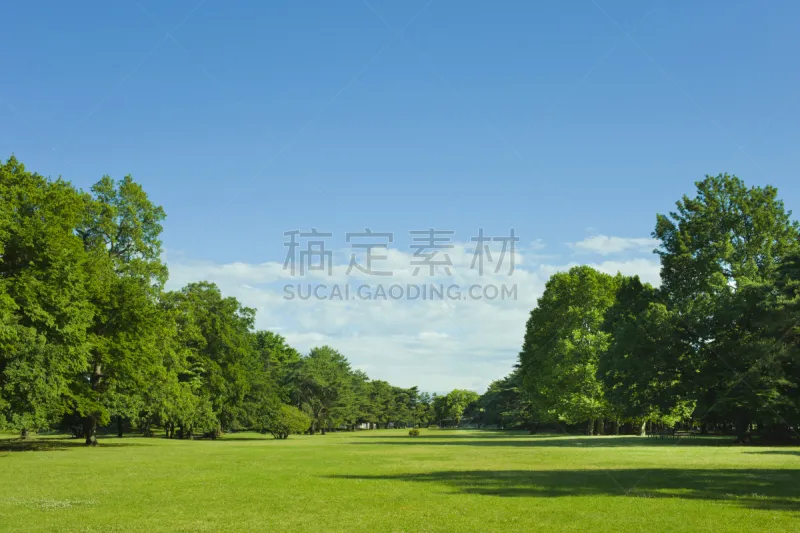 公園芝生图片素材下载 稿定素材 公園芝生图片素材下载 稿定素材