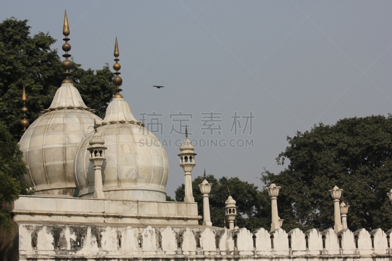 建筑特色,阿格拉城堡,德里,水平画幅,建筑,无人,清真寺,要塞,印度,红色