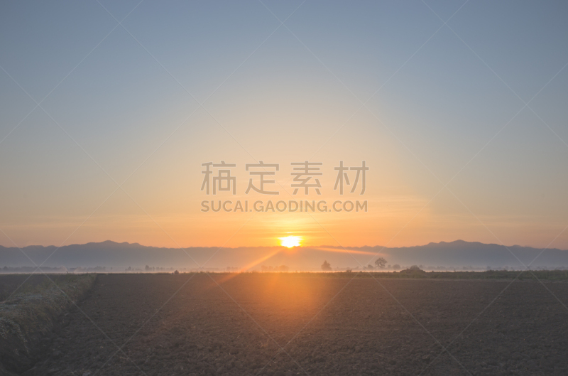 黎明,田地,在上面,天空,水平画幅,早晨,夏天,户外,阳光光束,地平线