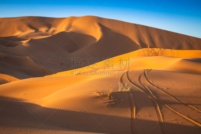 erg chebbi dunes,莫鲁加,沙丘,摩洛哥,撒哈拉沙漠,自然,野生动物,水平画幅,沙子,非洲