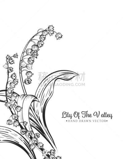 Botanical Lily Of The Valley Invitation Template