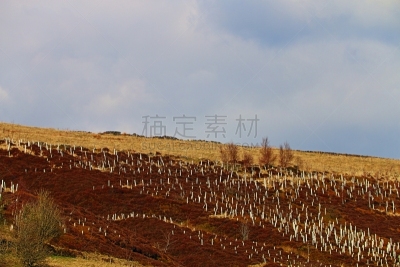 天空,美,水平画幅,山,无人,英格兰,户外,草,云景,奔宁山脉