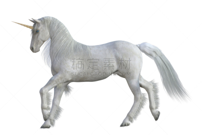 白色,三维图形,马,分离着色,独角兽,美,艺术,水平画幅,绘画插图,动物身体部位