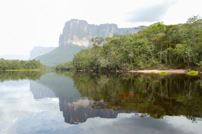 卡奈依马国家公园,委内瑞拉,天使瀑布,平顶山,canaima,国家公园,水平画幅,瀑布,无人,热带树