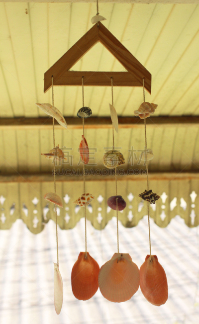 阳台,成一排,甲壳动物,海蛤,坎昆,垂直画幅,度假胜地,沙子,帽贝,无人