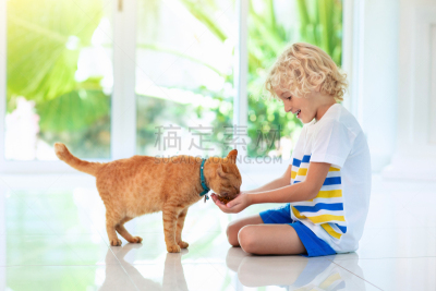 儿童,宠物,猫,住房,饮料,可爱的,牛奶,女婴,食品,地板