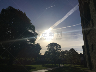 早晨,五月,2018,绿色,天空,小无花果树,水平画幅,云,地形
