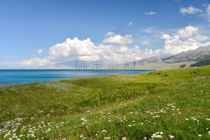 湖,风景,赛里木湖风景区,水平画幅,无人,夏天,户外,草,图表,山