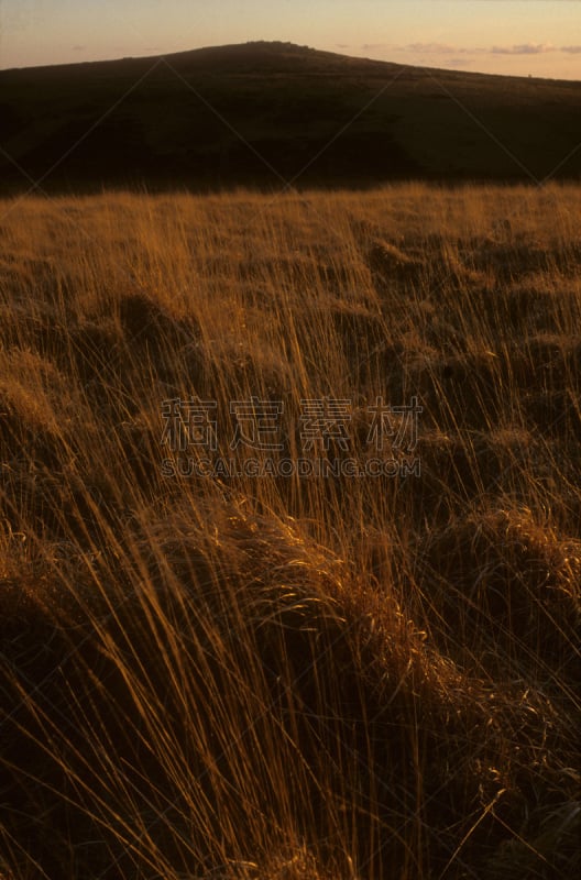 bodmin moor,旷野,草,垂直画幅,停泊的,摩尔人风格,广角,岩石,无人,阴影