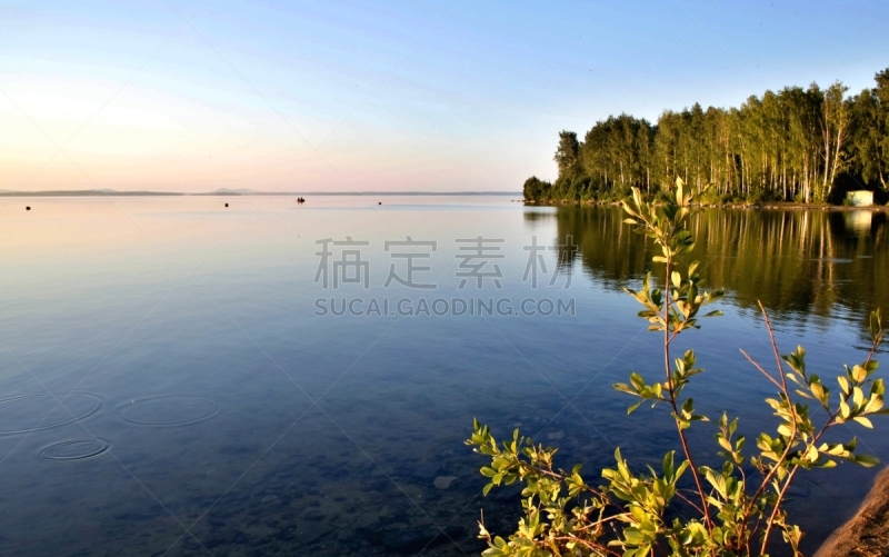 水,湖,宁静,森林,黄昏,天空,美,水平画幅,枝繁叶茂,夏天