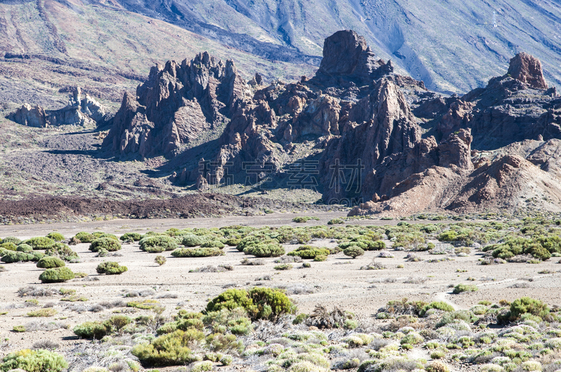 timanfaya national park,兰萨罗特岛,金丝雀,褐色,水平画幅,无人,巨大的,大西洋群岛,户外,北美歌雀