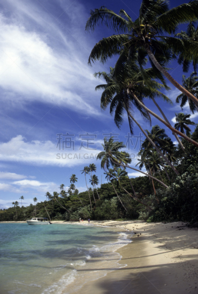 海滩,鸡尾酒,taveuni,斐济,南太平洋,垂直画幅,水,沙子,无人,椰子树