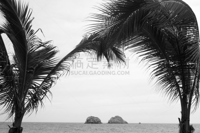 岩石,岛,水,水平画幅,无人,户外,棕榈树,拉丁美洲,植物,热带气候