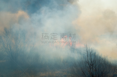 黑色,草,烟,火,火焰,力量,芦苇,田园风光,户外,夏天