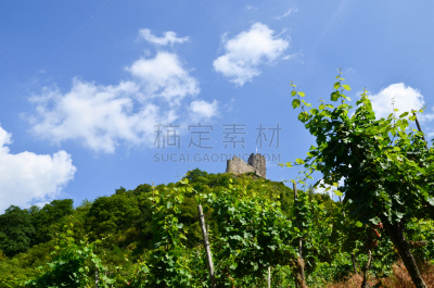 城堡,德国,兰茨胡特,摩泽尔河谷,葡萄酒,葡萄酒厂,水平画幅,摩泽尔河,科切姆,夏天