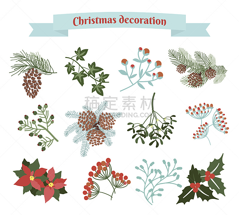 天气,圣诞装饰,榭寄生,猩猩木,冬青树,孤挺花,绘画插图,标签,圣诞树