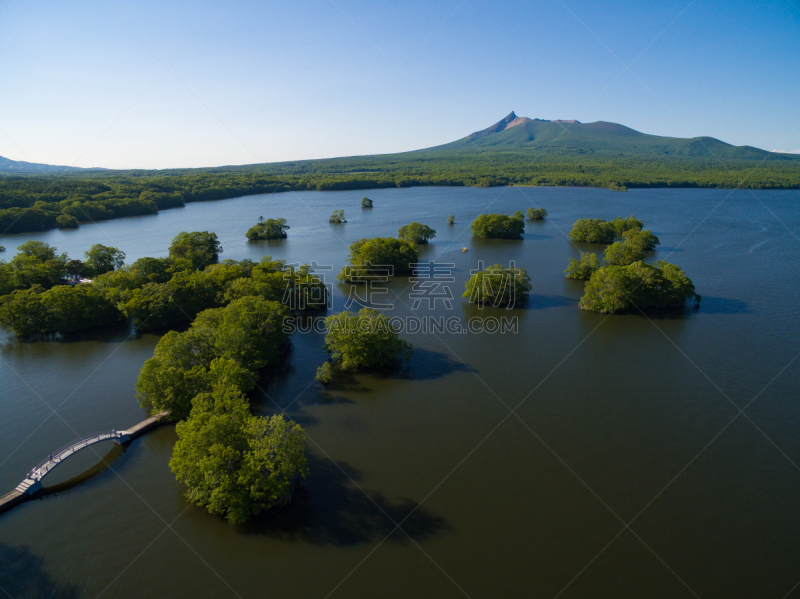 大沼湖,大沼国定公园,枝繁叶茂,湖,夏天,户外,天空,日本,火山,自然