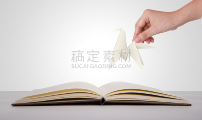 2014年,马,动物手,水平画幅,符号,明信片,折纸工艺,书,动物