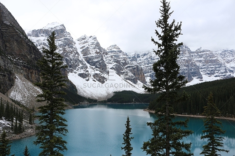 雪,山脉,梦莲湖,风景,雪山,加拿大,自然美,湖,松树,绿松石色